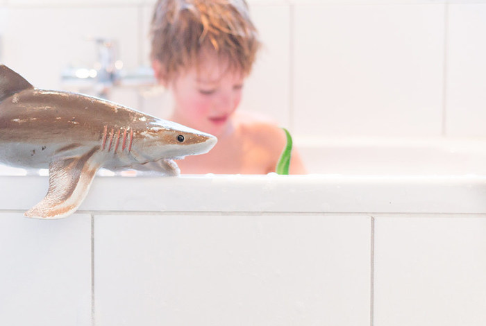 Jongen speelt in warm bad met haai